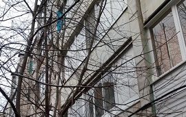 Кронирование деревьев на придомовой территории по адресу б. Гагарина, 58г