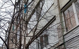 Кронирование деревьев на придомовой территории по адресу б. Гагарина, 58г