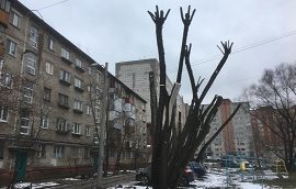 Кронирование деревьев на придомовых территориях