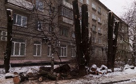 Кронирование деревьев на придомовой территории по адресу ул. Степана Разина, 34