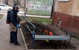 Проведение дезинфекционной обработки