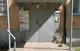 Покрасочные работы на придомовых территориях Покрасочные работы на придомовых территориях