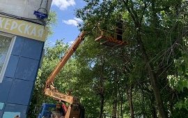 Благоустройство придомовых территорий