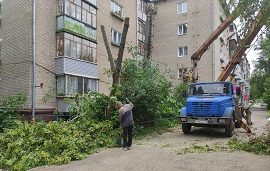 Кронирование и снос деревьев на придомовых территориях Кронирование и снос деревьев на придомовых территориях