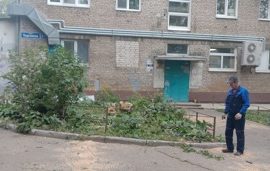 Распиливание деревьев на придомовой территории по адресу ул. Тургенева, 17