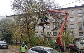 Кронирование деревьев на придомовых территориях