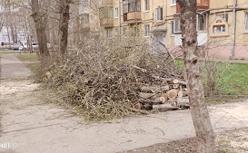 Спил деревьев на придомовых территориях