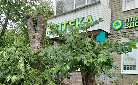 Вырубка деревьев на придомовой территории по адресу ул. Ушинского, 1