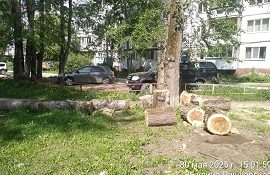 Вывоз мусора с придомовых территорий