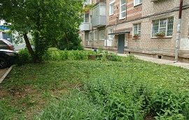Покос травы на придомовых территориях