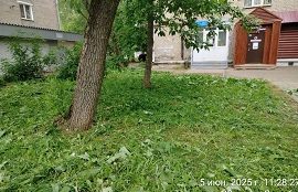 Покос травы на придомовых территорий