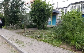 Покос травы на придомовых территориях