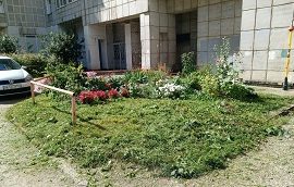 Покос травы на придомовых территориях