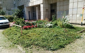 Покос травы на придомовых территориях