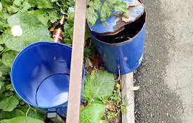 Замена урн возле дома по адресу ул. Тургенева, 17