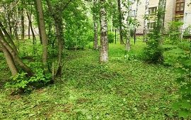 Покос травы на придомовых территориях