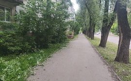 Покос травы на придомовых территориях