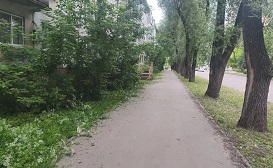 Покос травы на придомовых территориях