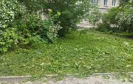 Покос травы на придомовых территориях