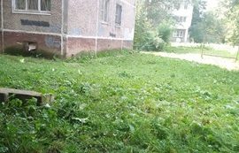 Покос травы на придомовой территории по адресу ул. Степана Разина, 34