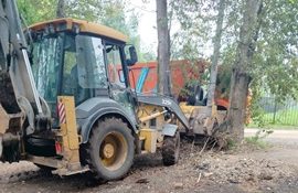 Вывоз древесного мусора с придомовых территорий