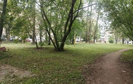 Покос травы на придомовых территориях