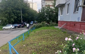 Покос травы на придомовых территориях