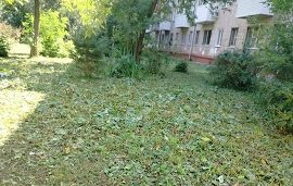 Покос травы на придомовых территориях