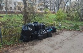 Вывоз мусора с придомовых территорий
