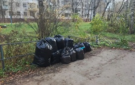 Вывоз мусора с придомовых территорий