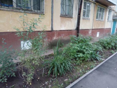 Установка пластиковых окон в подвале дома
