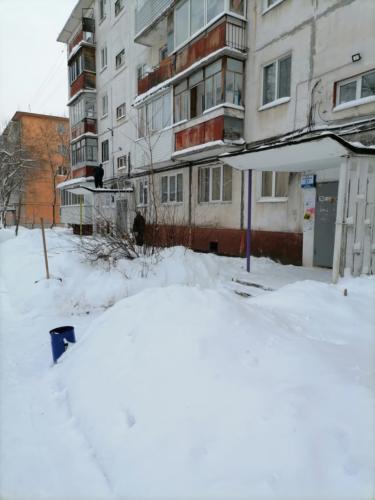 старцева37 (2)