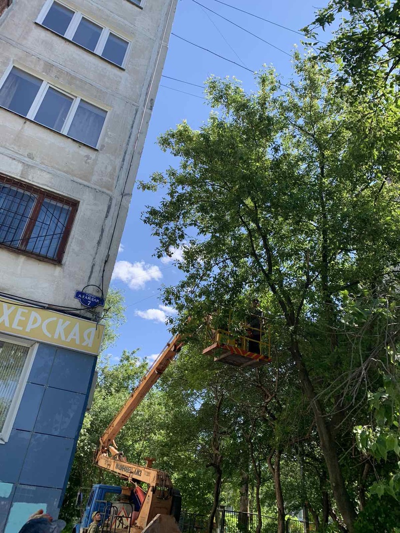 Обрезка ветвей деревьев на придомовой территории по адресу ул. Аркадия Гайдара, 7